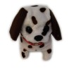 Walking Barking Polka Dot Dalmatian Spotted Springer Spaniel Catahoula Leopard Dog Puppy